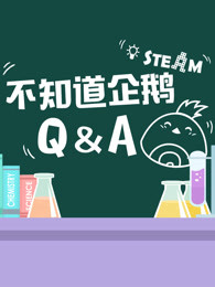 不知道企鹅qanda
