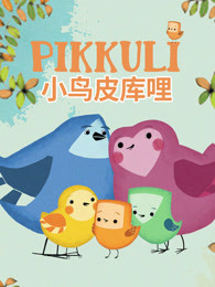小鸟皮库哩