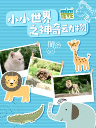 小小世界之神奇动物