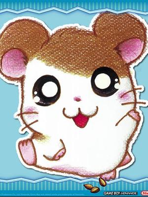 哈姆太郎第二季