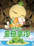 菜菜头