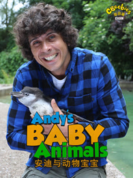 安迪的动物宝宝