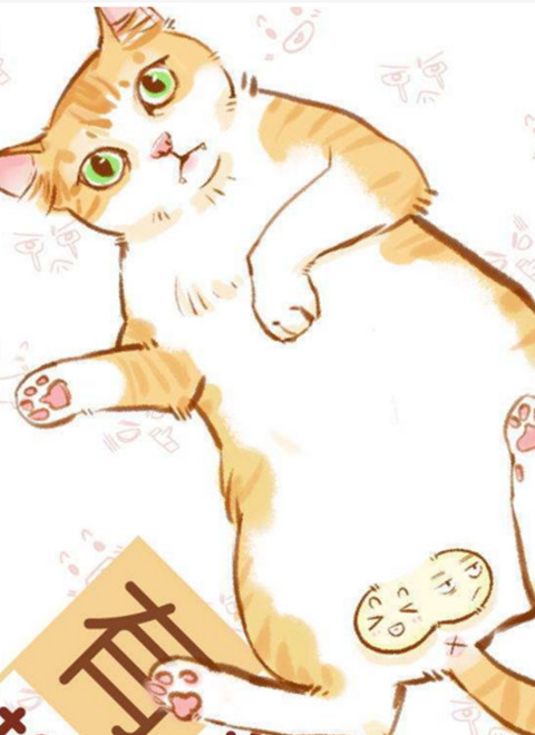 喵有卵用第3季sp