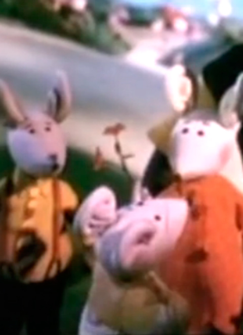 春天里的小田鼠