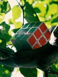 常宏彬三阶盲拧极速入门之四步法[下]