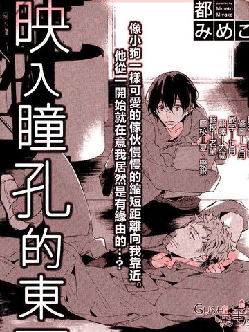 映入瞳孔的东西