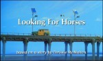 Looking for Horses