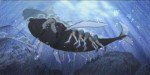 校長先生とクジラ
