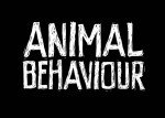 Animal Behavior