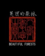 美丽的森林