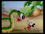 Mickey's Garden