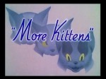 More Kittens