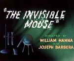 The Invisible Mouse