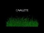 Cavallette