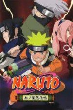 NARUTO -ナルト- 紅き四つ葉のクローバーを探せ