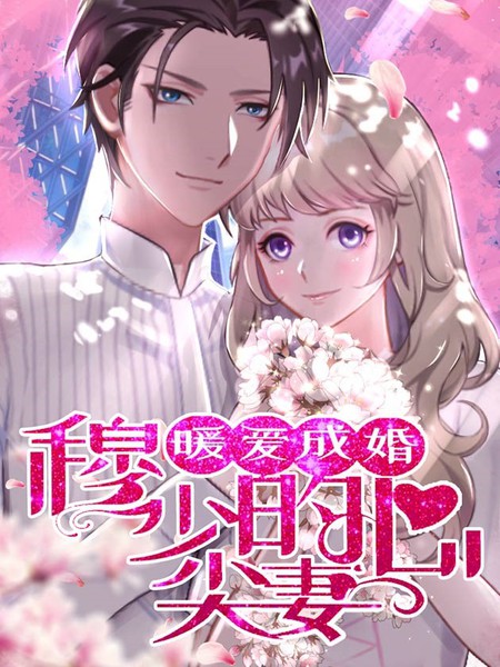 暖爱成婚:穆少的心尖妻