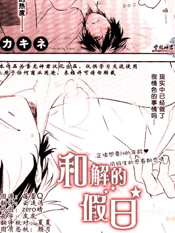和解的假日