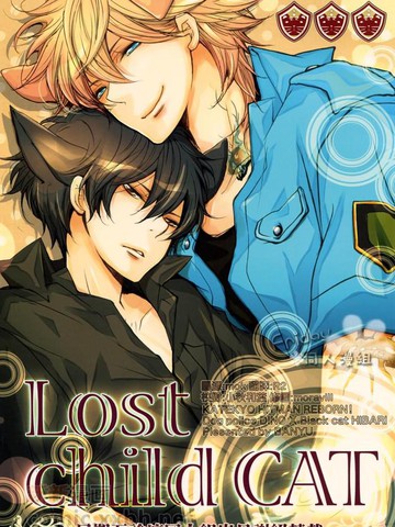 Lost Child Cat