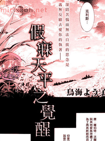 假寐天平之觉醒