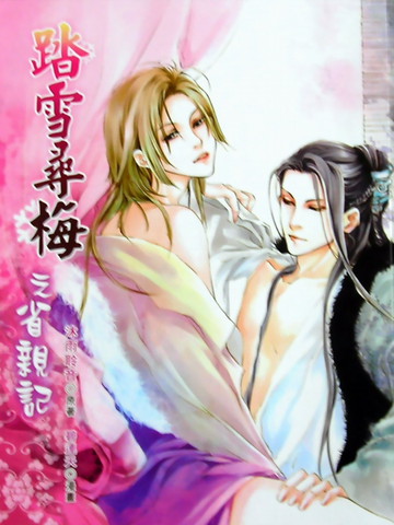 碧连天·踏雪寻梅番外之省亲记