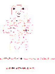 黑子与亚鲁欧的大冒险