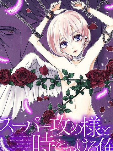 霸道总攻大人与穿越时空的我