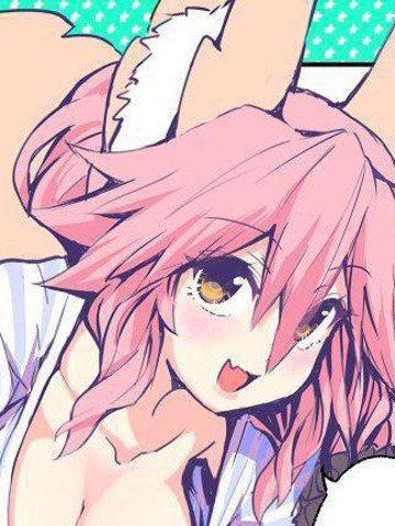 隔壁的玉藻前辈