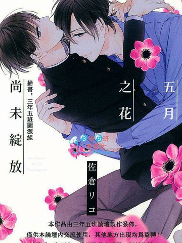 五月之花尚未绽放