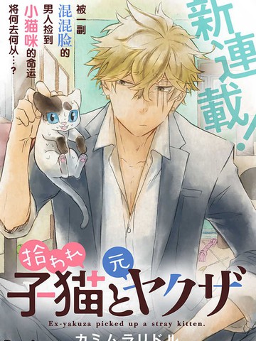 被遗弃的小猫咪与原黑道