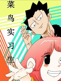 菜鸟实习生