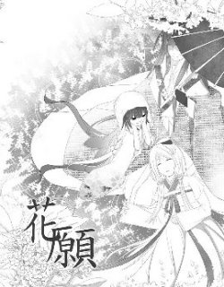 八尾X猫-花愿篇