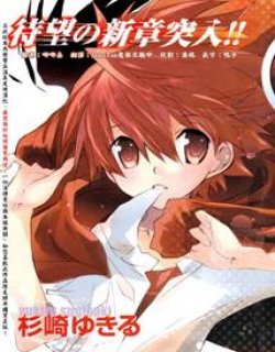 天使怪盗S4(DNAngelS4)