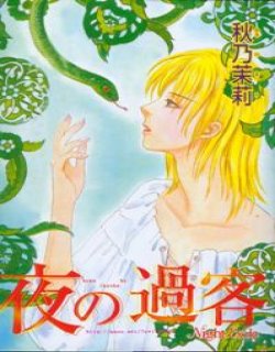 夜之过客(暗夜过客)