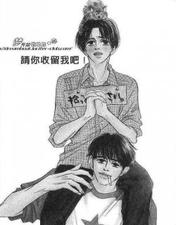 请你收留我吧