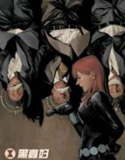 黑寡妇ALL-NEWMarvelNow