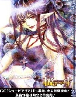 Superior Cross魔王爱勇者第二部