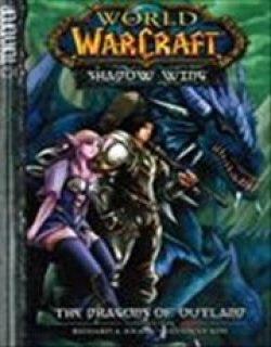 魔兽世界 外域之龙