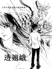 透翅蛾