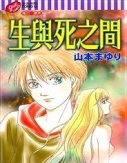 生与死之间