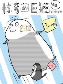 惊奇的巨猫