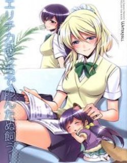 绘里在家养了狸猫希!
