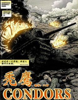 秃鹰