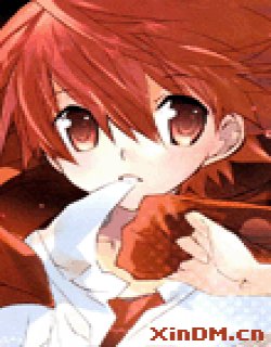 天使怪盗S4(D.N.ANGEL STAGE4)