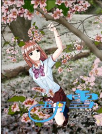 五月雪