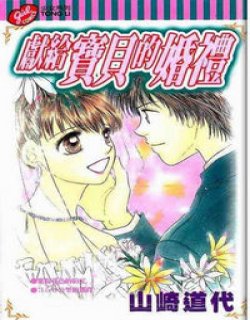 献给宝贝的婚礼(山崎道代)