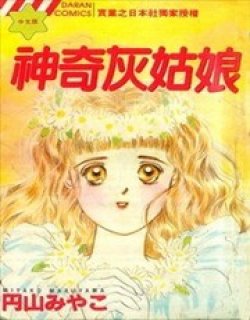 神奇灰姑娘