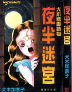夜半迷宫