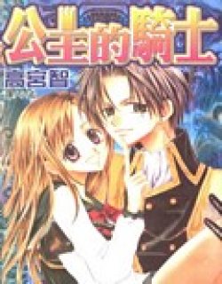 公主的骑士(高宫智)