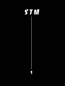 STM