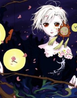 收音机的愿望WD